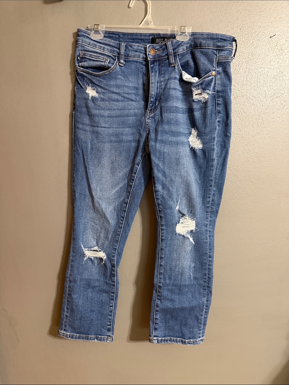 Judy Blue Ripped Skinny Jeans in Blue Wash